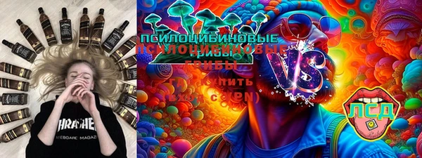 кокс Гусев