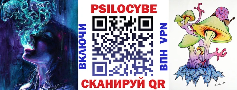 Купить где  Талица  Псилоцибиновые грибы Psilocybine cubensis 